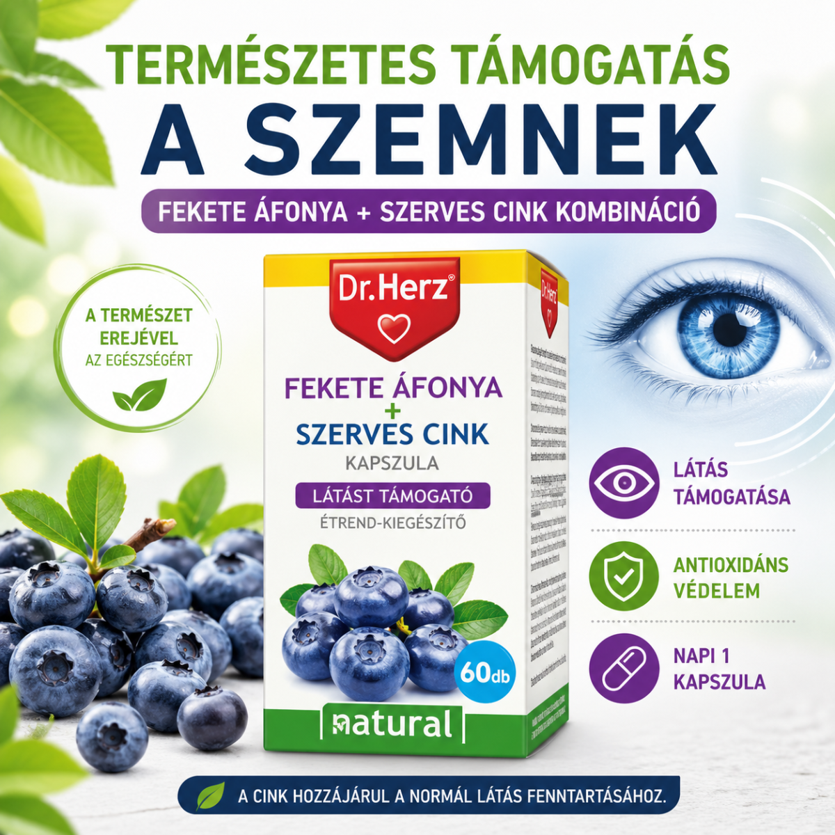 Fekete áfonya kapszulában  mit tehet a szemedért és az érrendszeredért?