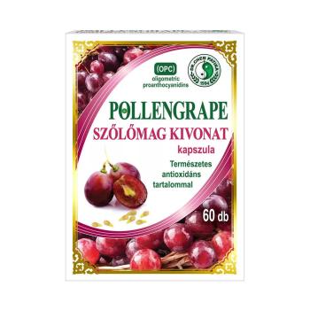 https://mentabiobolt.hu/media_ws/10010/2070/idx/dr-chen-pollengrape-kapsz-30x-dr-chen-pollengrape-kapsz-30x.jpg