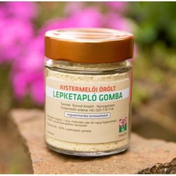 https://mentabiobolt.hu/media_ws/10010/2098/idx/gomba-dr-lepketaplo-gomba-gomba-dr-lepketaplo-gomba-orlemeny-20g.jpg