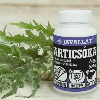 https://mentabiobolt.hu/media_ws/10011/2068/idx/javallat-articsoka-level-kapszula-50db.webp