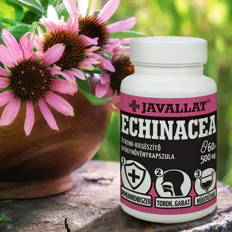 Javallat Bíbor kasvirág-ECHINACEA kapszula 50db