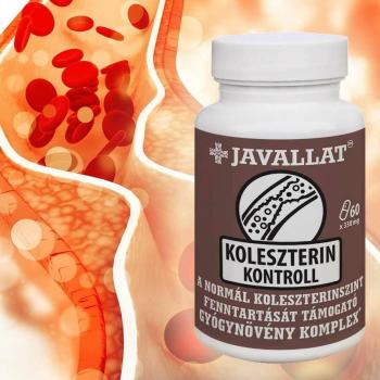 https://mentabiobolt.hu/media_ws/10011/2093/idx/javallat-koleszterin-kontroll-60db-javallat-koleszterin-kontroll-kapszula-60db.jpg