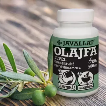 https://mentabiobolt.hu/media_ws/10012/2008/idx/javallat-olajfa-level-kapszula-50db.webp