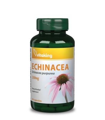 https://mentabiobolt.hu/media_ws/10015/2024/idx/vitaking-echinacea-400-mg-100-db.jpg
