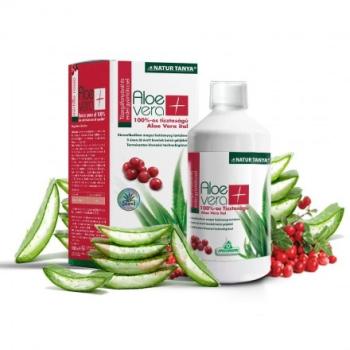 https://mentabiobolt.hu/media_ws/10021/2060/idx/natur-tanya-aloe-vera-ital-100-vorosafonyas-1l-natur-tanya-aloe-vera-ital-100-vorosafonyas-1l.jpg