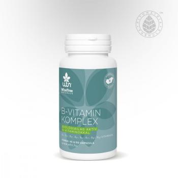 https://mentabiobolt.hu/media_ws/10021/2095/idx/wtn-b-vitamin-komplex-60-db-wtn-b-vitamin-komplex-60db.jpg