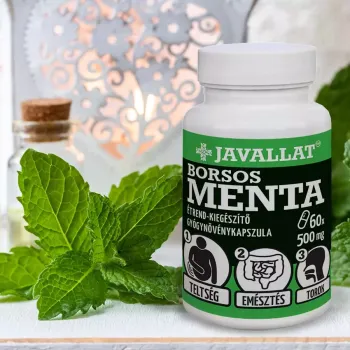 https://mentabiobolt.hu/media_ws/10179/2049/idx/javallat-borsmenta-level-kapszula-50db.webp