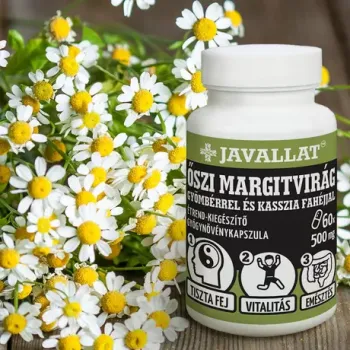 https://mentabiobolt.hu/media_ws/10179/2065/idx/javallat-oszi-margitvirag-gyomberrel-faahejjal-60d.webp