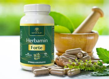 https://mentabiobolt.hu/media_ws/10183/2049/idx/natur-elet-herbamin-forte-60db-kapszula.jpg