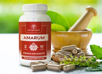 https://mentabiobolt.hu/media_ws/10183/2050/idx/natur-elet-amarum-500mg-45db.jpg