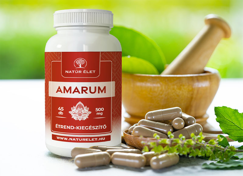 Natúr élet Amarum 500mg 45db