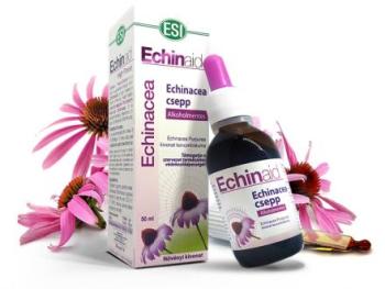 https://mentabiobolt.hu/media_ws/10208/2063/idx/natur-tanya-esi-echinacea-csepp-alkoholmentes-50m.jpg